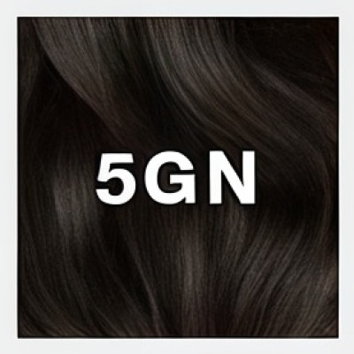 5GN - Lightest gold neutral brown