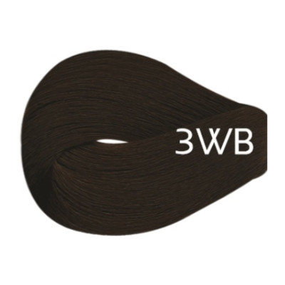 3WB - Dark Warm Brown