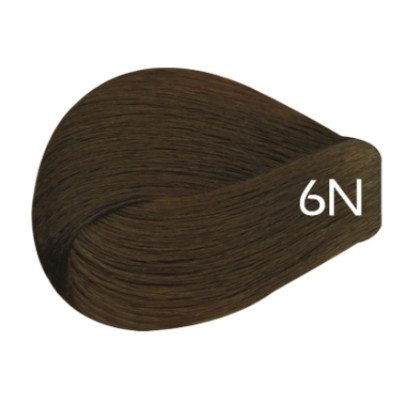 6N - Dark Blonde