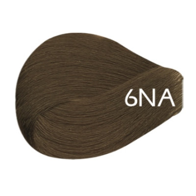 6NA - Dark Natural Ash Blonde