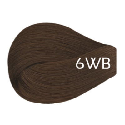 6WB - Dark Warm Blonde
