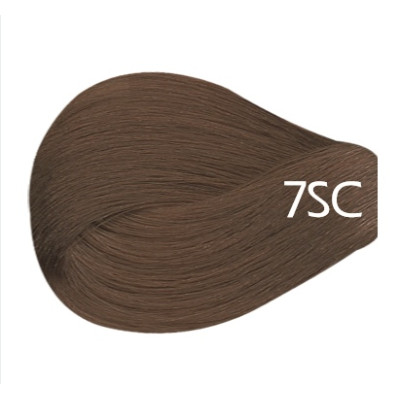 7SC - Chocolate Blonde