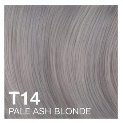 T14 - Silver Lady